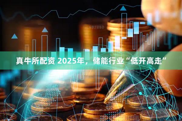 真牛所配资 2025年，储能行业“低开高走”