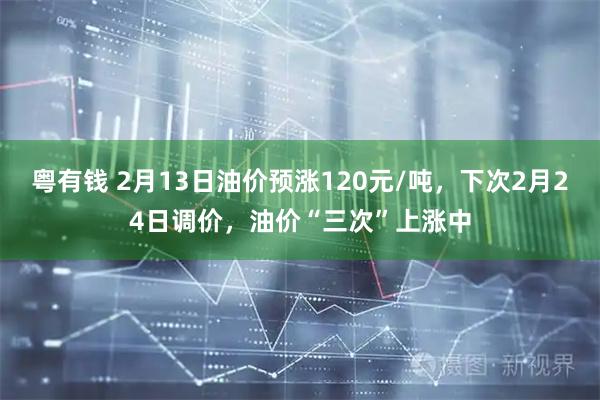 粤有钱 2月13日油价预涨120元/吨，下次2月24日调价，油价“三次”上涨中